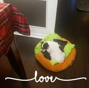 Meet your Posher, Jackie